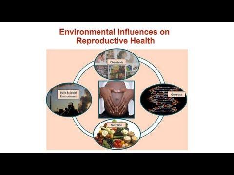 Women’s Health and the Environment: What’s Safe and What’s Not 