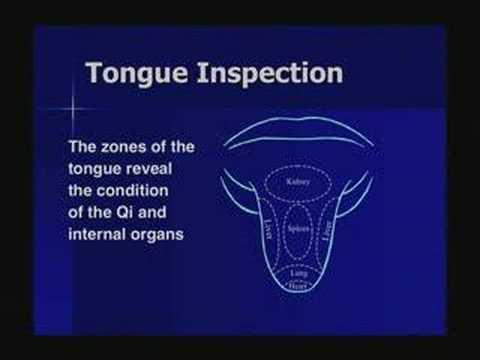 Traditional Chinese Medicine – Acupuncture, Meridians, and Chi 