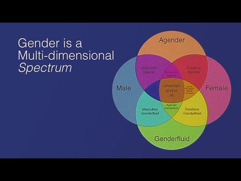Female to Male Gender Affirming Surgery: Options, Challenges, State of the Art Surgical Techniques, and Outcomes