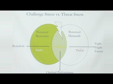 The Alchemy of Empathy: Transforming Stress into Meaning at Work 
