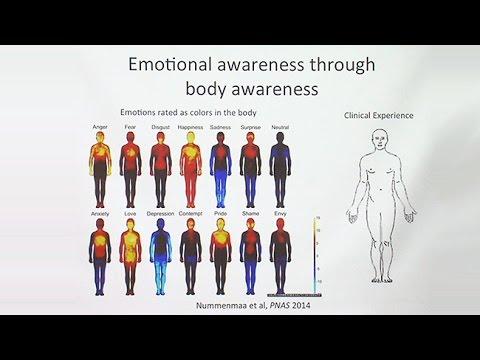 This is Your Brain on Meditation: How Meditation Impacts the Brain and Implications for Health