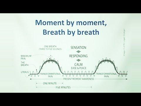 The Contractions of Labor and the Contractions of Life: Mindfulness Skills for Childbirth and Parenting 