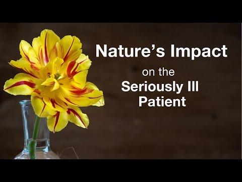 Nature’s Impact on the Seriously Ill Patient